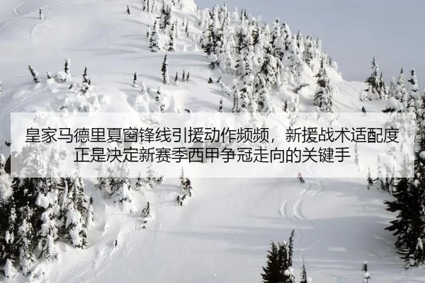 皇家马德里夏窗锋线引援动作频频，新援战术适配度正是决定新赛季西甲争冠走向的关键手